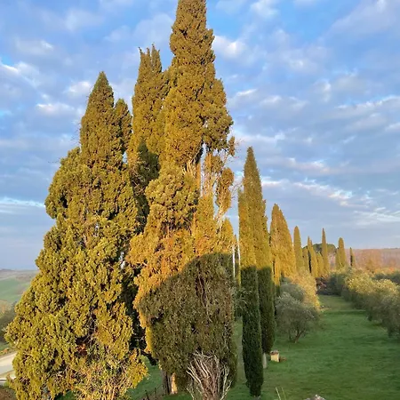 Poggio In Chianti - Winery - Siena Monteaperti (Siena)