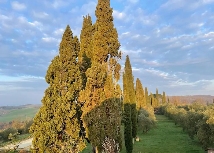 Poggio In Chianti - Winery - Siena Monteaperti (Siena)
